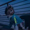 Dog Collars Service Sticker Vest Patch Professional Strap Pet Reflective Tag Harness