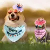 Vêtements pour chiens joyeux anniversaire pour chats de chat décor de chaton comprend un groupe élastique extensible artisanat en feutre et des tissus en polyester pour