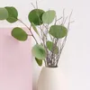 Flores decorativas 12 PCs Birch Branch Decoração doméstica seca Twig Ornamento de galhos naturais Planta pequenos galhos Party Party