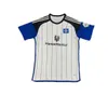 2024 HAMBURG SV FOOTBALL JERSEY VAGNOMAN ONANA LEIBOLD REIS 23 24 HSV Men's Children's Football Shirt Football Shirt