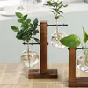 Vaser terrarium träram gåvor bordsskiva växter blomma vas glas växt hem bonsai dekor dekoration potten