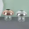 Vazen 2styles glanzende top champignon arrangement creatieve kunst hydrocultuur fles moderne glazen woonkamer bureaubladdecoratie