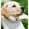 Appareils pour chiens Style Unique Paws Cat Small Bandana Scarf Produits pour animaux de compagnie de Noël ajusté