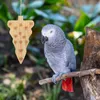 Altre forniture per uccelli masticare giocattoli giocattoli che sostengono il pappagallo in legno per animalette masticabile masticata per il parrocchetto resistente al morso