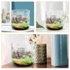 Vazen Micro -landschapsplanten Fles tafel versiering Container Glas Lege Diy Terrarium Containers Transparante bloemvaas