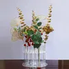 Vasi di pianta idroponica per pianta con 15 pezzi Raccordi a tubo prove Vaso fiorito per la casa di lavaggio della casa.