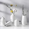 Vaser vit nordisk enkel keramisk dekoration torr blomma vassimulering tv skåp vardagsrum soffbord bordsskiva