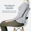 Pillow Lab Extra tät lumbal - Patenterad ergonomisk multiregionföretag tillbaka stöd för lägre smärtlindring