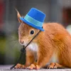 Dog Apparel Hamster Hat Bow Tie Small Animals Hats Kit Chinchilla Caps Costume