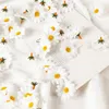 Fiori decorativi 100pcs mini scale artificiali margherita frodole domestiche decorazioni per feste di compleanno di matrimonio falsa crisantemo di seta per donne