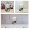 Vazen Micro -landschapsplanten Fles tafel versiering Container Glas Lege Diy Terrarium Containers Transparante bloemvaas