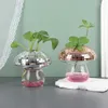 Вазы 2Styles Shiny Top Mushroom Manragement Creative Art Hydroponic Bottle Modern Glass Living Room