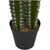 Decoratieve bloemen De novogratz 23 "kunstmatige cactusplant in realistische bladeren en zwarte ronde pot