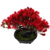 Kwiaty dekoracyjne sztuczne rośliny doniczkowe Cutains forbedroom biurko bonsai drzewo fałszywe symulacje dekoracji dekoracje plastikowe plastikowe