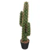 Decoratieve bloemen Decor kunstmatige cactus standbeeld simulatie onwaar grote beeldjes planten plastic nep decoratie tuin ornament potten