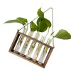 Vases Planter Terrarium avec support de support en bois Plant de suspension en forme de tube pour les amateurs de jardinage cadeau