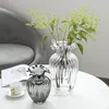 Vasi Nordic Ins Simple Light Luxury Vase Decoration Decorazione ad alto livello di aspetto Flower Desktop Casa