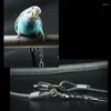 Outros pássaros suprimentos de pássaro 6m Papagaio chicote da colméia anti-mordida de treinamento de treinamento ao ar livre Pet para periquito cacatua Cockatiel Drop