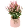 Vases Fake Potted Artificial Office Flowers Outdoor Plastic Plastic Small Bonsai