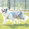 ملابس صيفية للحيوانات الأليفة الكبيرة الكلب الكلب تنورة Schnauzer Corgi Shiba inu Samoyed Husky Labrador Golden Retriever 9XL 240402