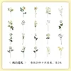 Embrulho de presente 40 PCs Ins plantas Flores adesivos Pacote de pacote rótulos de palitos decorativos adesivos de recados diy