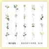 Enveloppe-cadeau 40 PCS INS Plant Flowers Stickers Pack Stick Étiquettes décoratives faites à la main Adhésif Diy Scrapbooking matériel