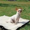 Przewoźnik dla psów dla psów moda przenośna torba dla psów mała diamentowa pikowana koc dla zwierząt miękki Chihuahua York