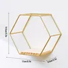 Decorative Plates Nordic Style Wall Mounted Floating Hexagon Shelf Metal Iron Framed Storage Holder Rack With Wooden Board Geometric