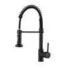 Badrumsvaskar Borstade mässing Tall Spring Kitchen med Pull Down Sprayer Style