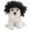Hundebekleidung lustige Perücke Halloween Haustierprodukte Cosplay Kostüme Requisiten Kopfbedeckungshaardarner Zubehör Drop -Lieferungen