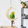 Autres fournitures d'oiseaux Parrot Toys Swing Moon Swing Swing Molar Ring Puzzle Brand et haute qualité