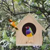 Andere vogelbenodigdheden Feeder Finch Nest Birds House voor buitenkooi kooi kolibrie swing huizen buiten klaring raam eekhoorn