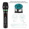 Microphones D300 Microphone Système sans fil Conférence Home Phone Mobile Live Sound Card K Song Universal Microphone (Two)