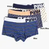 Sous-pants beaucoup de 24 mélanges colorik trunk spandex masculin coton boxer court stret stretes culotte de qualité supérieure sous-vêtements intime mâle