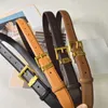 Women Belt Designer Leash Pu Leather Belts Female Girth Fashion Waistband 3.0cm Width Needle Buckle Brand Lo Girdle Daily Outfit Cintura