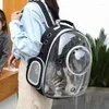 Kattbärare Rensa bubbelbärarens ryggsäck Space Pet Daypack Breattable för stora katter och små hundar som bär väskor resor