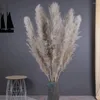 Fleurs décoratives grandes pampas Grass Bouquet naturel moelleux parfait pour l'automne Thanksgiving Halloween Christmas Weddings Bohemian Party