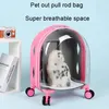 Porte-chats transporteur pour sac portable Draw Bar Board Pet Kitty Ventilation transparente Ventillez SORGAGE SAPAGE SPACE