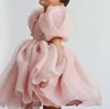 Детская принцесса платье из слоеного рукава однолетнее платья Помпадур платье Осенняя Девушка Одно кусок юбка