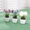 Dekorative Blumen simuliert immergrüne Sukkulente haarige Ball Topfpflanze für Heimrestaurant Tafel Gartenregal Büroplatzierung