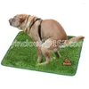 Tableau de table pour animaux de compagnie toilettes fausse pelouse Urine Pad Basin Simulation Turf Training