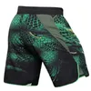 Cody Men Mma Shorts No GI BJJ Grappling Kickboxing Custom Muay Taai Trainsing Короткие штаны Зеленый мужской спортзал Сублимация 240325
