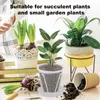 5Pcs Root Control Transparent Flower Pots Breathable Plastic Plant Nursery For Planting Phalaenopsis Orchids Planters 240325