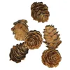 Vases 50 PCS Small Pine Cone Decoration Decoration Mini Ball Ornements Po Prophes CONES