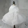 Kleid für Hunde Hochzeit Tüll Rockschicht Teddy Welpenkostüm 4 Farbe XS S M L XL 240402
