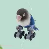 Outros pássaros suprimentos de pássaros mini patins de desktop patins Toy Parrot Toy para Cockatoo Eclectus Gifts Conjunto