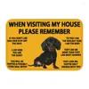 Carpets Dachshund Front Door Mat Anti-Slip Outdoor Quick Dry Badger Sausage Wiener Dog Doormat Garden Garage Entrance Rug Carpet