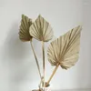 Decorative Flowers Ins Boho Style City Blooms Mini Flower Dried Palm Leaves Spears Natural Fans Leaf For Wedding Decoration Arragnement