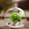 Vases Mini Transparent Glass Hanging Ball Ornaments Micro Landscape Container Hydroponics Plants Bottles Home Decorations