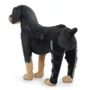 Appareils à chien pour les jambes arrière PAUTES PET avec support arrière Compression à manches de jambe respirante réglable Torn